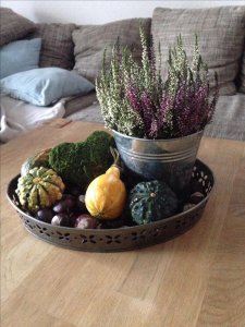 43500680_571902786576395_6708589679123365888_n