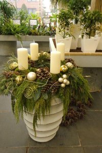 43626636_571902939909713_619033730861760512_n