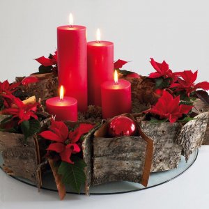 43649879_571902206576453_8487268076008505344_n