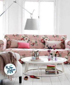 44237954_2323578324595409_7400230897275895808_n