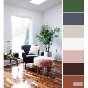 55526838_2435847286701845_1176861334487171072_n