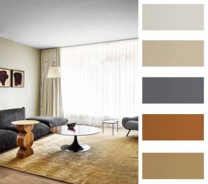 55590182_2435847310035176_4527092295320731648_n