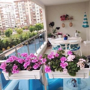 56396036_272351523705236_7370269918383570944_n