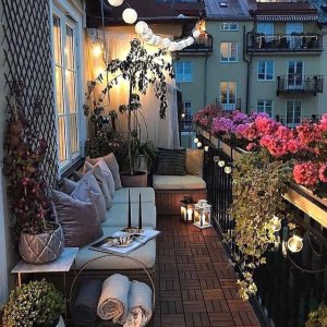 56402026_272352133705175_6000751903074418688_n