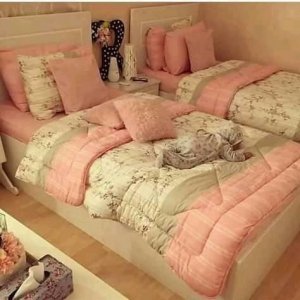 57088297_413850176065884_3983684172513280000_n