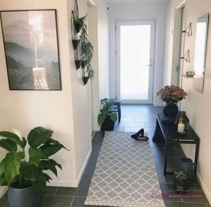 أفكار عن مدخل البيت