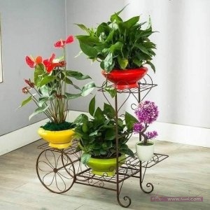 ارفف  الاواني الخاصة بالزراعة للزينة