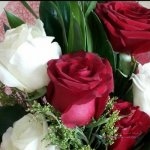 صور ورد طبيعي  ابيض صور ورد جوري احمر 2020