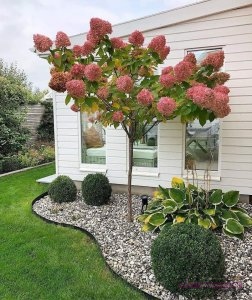 تشكيلات راقية لحديقة المنزل