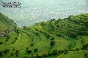 إب الخضراء…عاصمة السياحة اليمنيه