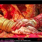 نقوش حناء 2014