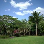 مناظر طبيعية خلابة قولوا سبحان الخالق