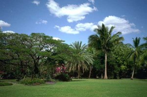 مناظر طبيعية خلابة قولوا سبحان الخالق