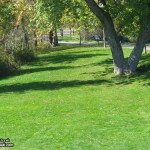 من أجمل المناظر الطبيعية في العالمـ