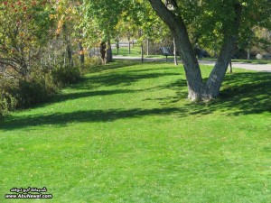 من أجمل المناظر الطبيعية في العالمـ