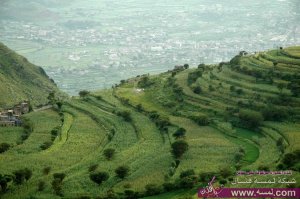 مدينة اب اليمنية جنه اليمن