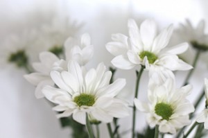 عادات سيئة نقوم بها يومياً تجنبيها للحصول على الرشاقة والصحة الأفضل