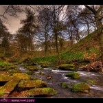 اجمل صور طبيعية فوتوغرافيا