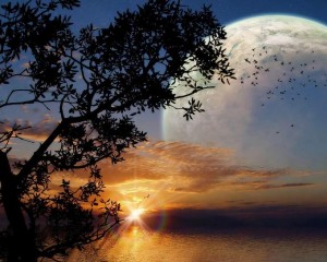 خلفيات طبعية للغروب والشروق ومناظر خلابه 2014