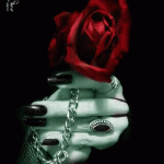 ورد رومانسى روعه اجمل الورود الرومانسيه 2014