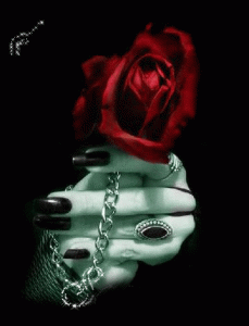 ورد رومانسى روعه اجمل الورود الرومانسيه 2014