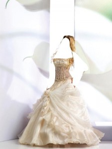 فساتين اعراس اخر اناقة 2013 ، فساتين زفاف انيقة 2014