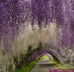 اماكن سياحية مذهلة – صور اغرب الاماكن السياحية في العالم