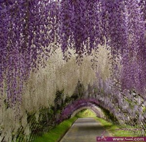 اماكن سياحية مذهلة – صور اغرب الاماكن السياحية في العالم