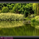 اجمل صور طبيعية فوتوغرافيا