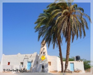 سندريلا اليمن بعدسة أبو مالك الخوخه مناظر طبيعية خلابه