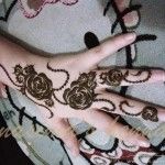 اجمل رسمات الحنة الهندية على اشكال ورود و فروع و اشجار2014_2015