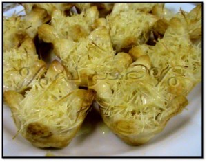 أعشاش البف باستري