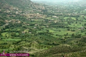 بالصور  اب الخضراء في بلاد اليمن جنة الله في ارضه