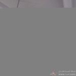 أسقف الجبسون بورد..2