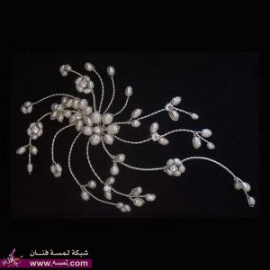 صور اكسسوارات الشعر فخمه و مميزةاكسسوارات الشعر متنوعه