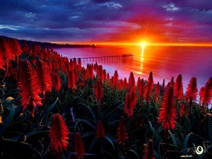 خلفيات للكمبيوتر مناظر طبيعية2015اجمل الخلفيات لسطح المكتب 2014