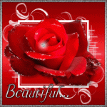 صور ورد رومانسي 2014 ، احدث صور رومانسية روعة 2015