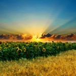 صور مناظر الطبيعية تحفه 2014 , صور ساحرة للطبيعة الجذابه 2014