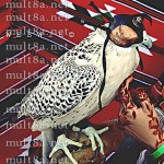 نقوش حناء خليجي 2014,نقوش حناء اماراتي تخبل