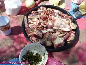 ملف لوصفات تتبيل الدجاج واللحم (30 وصفه)