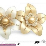 اكسسوارات تحفه للشعر  جديده 2014