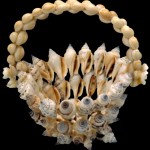 صور لتحف بحرية