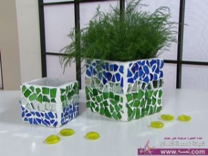 طريقة عمل حوض لنباتات الزينة من الزجاج المكسور