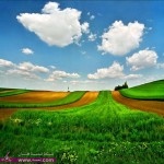 صور طبيعية خضراء