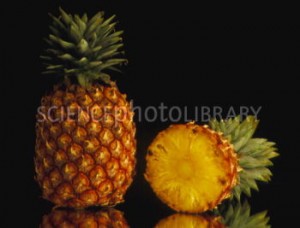 الأناناس … فوائد ومضار