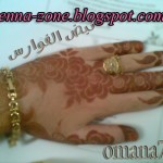 مجموعة من اجمل نقوش الحناء الرقيقة و البسيطة2014_2015 مجموعة من اجمل نقوش الحناء الرقيقة و البسيطة2014_2015