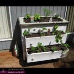 أفكار لتزين الحديقة خيال اروع مما تتخيل