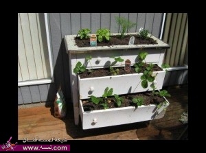 أفكار لتزين الحديقة خيال اروع مما تتخيل