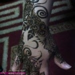 نقوش تخبل تأخذ العقل 2014_2015