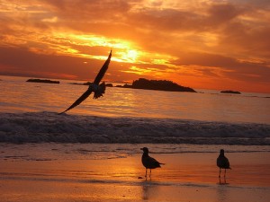 صور شروق وغروب ومناظر طبيعية جميلة2014